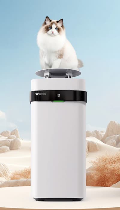 How an E-Comm Brand Reached 450% ROAS for their New Product Launch success story background